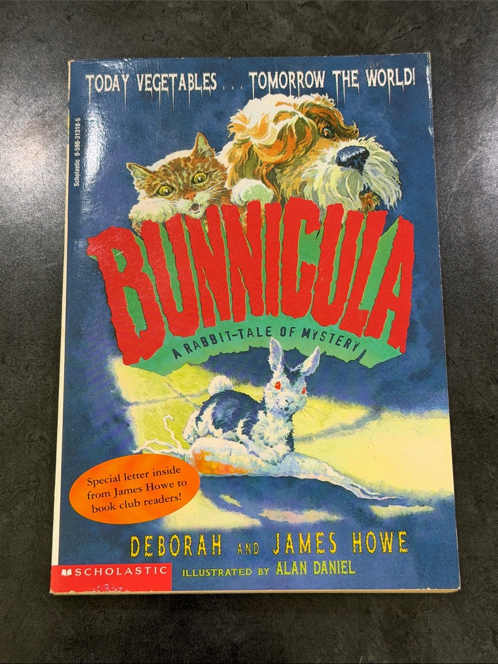 Scholastic Bunnicula book